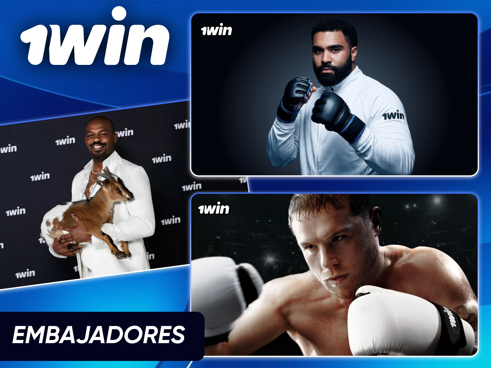 Figuras públicas y embajadores representativos de la marca en el sitio oficial de 1win Chile.